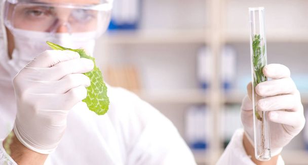 Biotechnology scientist chemist working in lab - Φωτογραφία, εικόνα