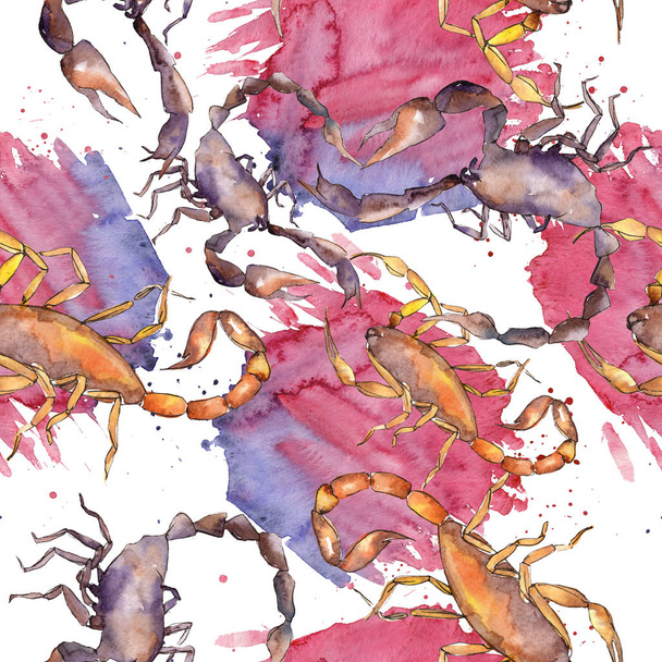 Eksoottinen skorpioni villi hyönteinen eristetty. Vesiväri tausta kuvitussarja. Saumaton taustakuvio
. - Valokuva, kuva