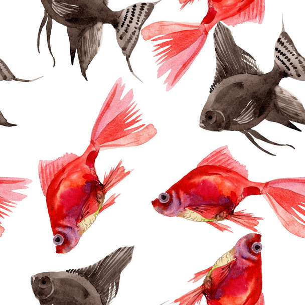 Goldfish aquatic underwater colorful tropical fish set. Watercolor illustration set. Seamless background pattern. - Fotoğraf, Görsel