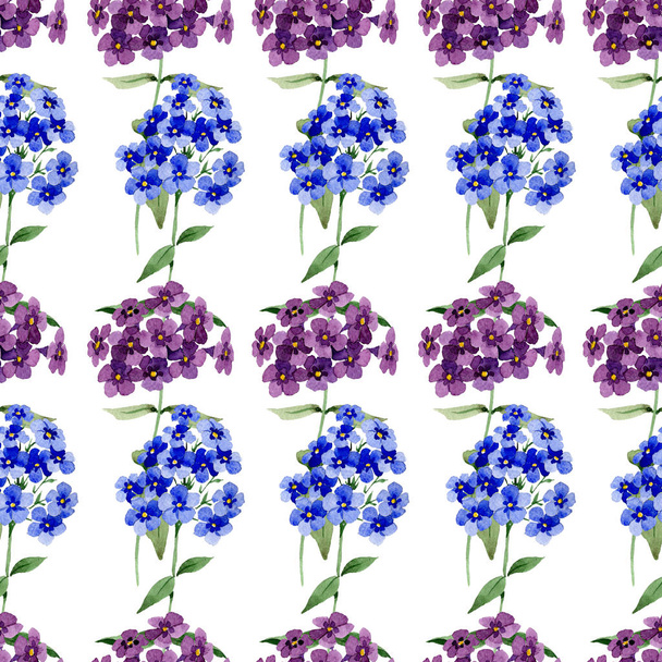 Phlox kwiatowy kwiatów botanicznych. Akwarela zestaw ilustracji tła. Płynny wzór tła. - Zdjęcie, obraz