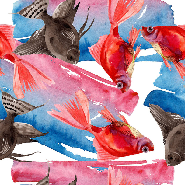 Goldfish aquatic underwater colorful tropical fish set. Watercolor illustration set. Seamless background pattern. - Fotografie, Obrázek