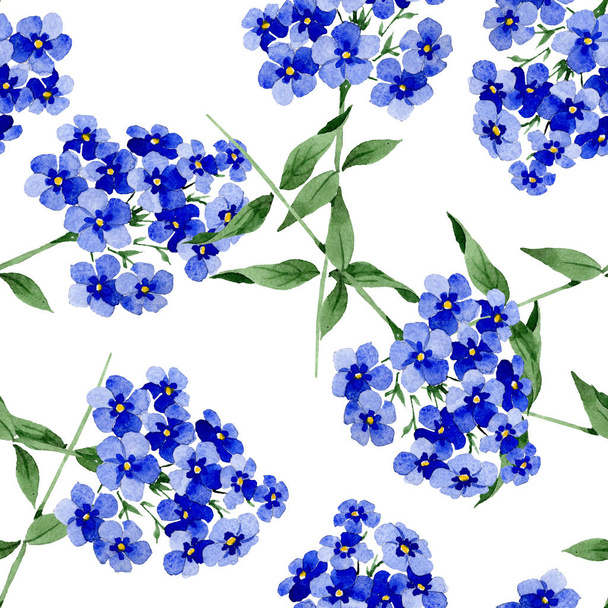 Phlox floral botanical flowers. Watercolor background illustration set. Seamless background pattern. - Фото, зображення