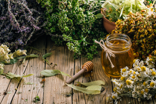Hypericum plant, harvesting wild medicinal herbs, alternative medicine - Fotó, kép