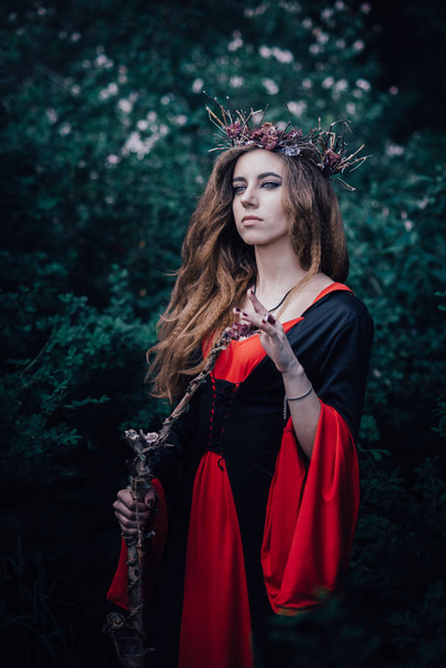 fairy tale witch in the forest - Photo, Image