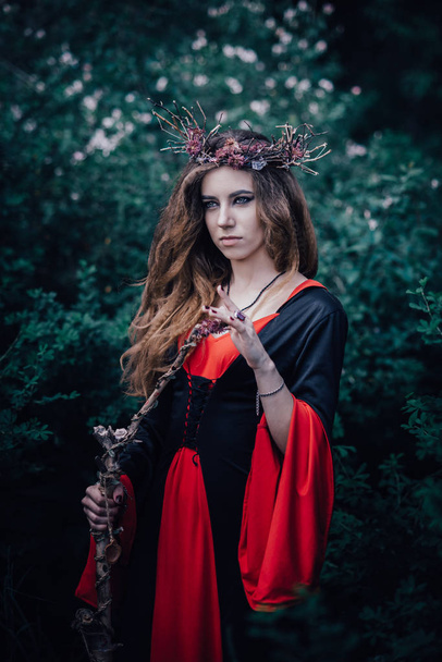 fairy tale witch in the forest - Фото, изображение