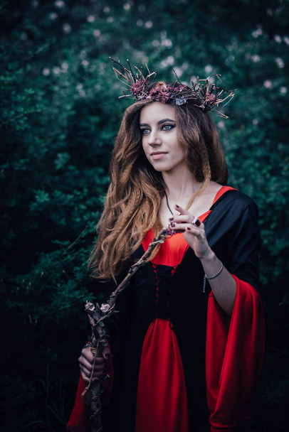 fairy tale witch in the forest - Foto, Imagem