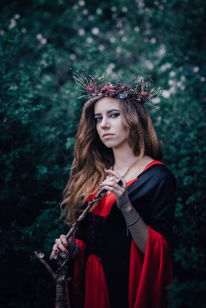 fairy tale witch in the forest - Zdjęcie, obraz