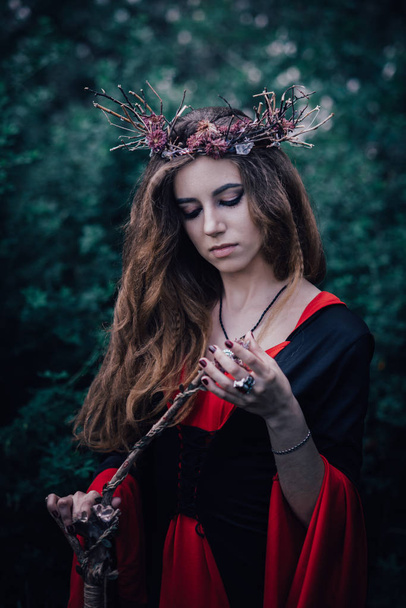fairy tale witch in the forest - Fotó, kép