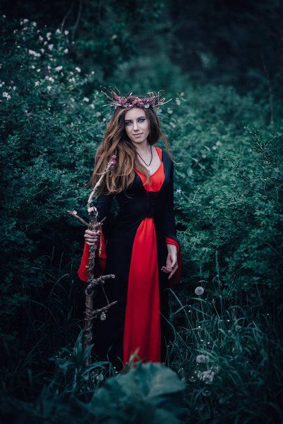 fairy tale witch in the forest - Fotografie, Obrázek
