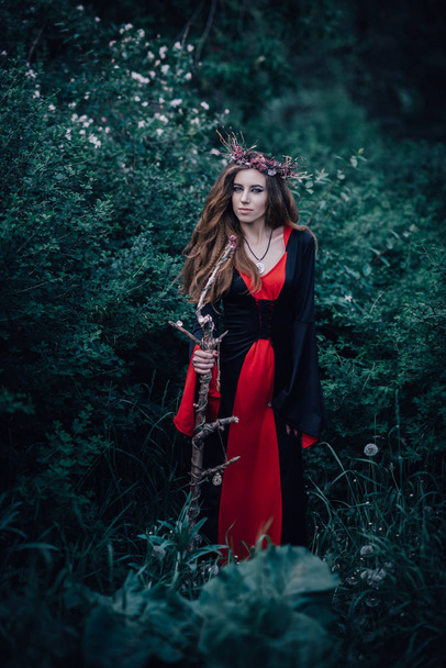 fairy tale witch in the forest - Foto, immagini