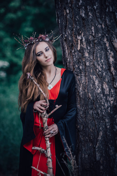tündérmese boszorkány az erdőben - Fotó, kép