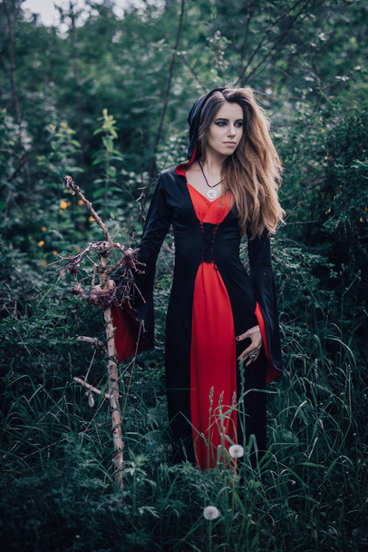 fairy tale witch in the forest - 写真・画像