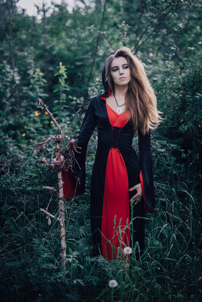 fairy tale witch in the forest - Foto, Bild