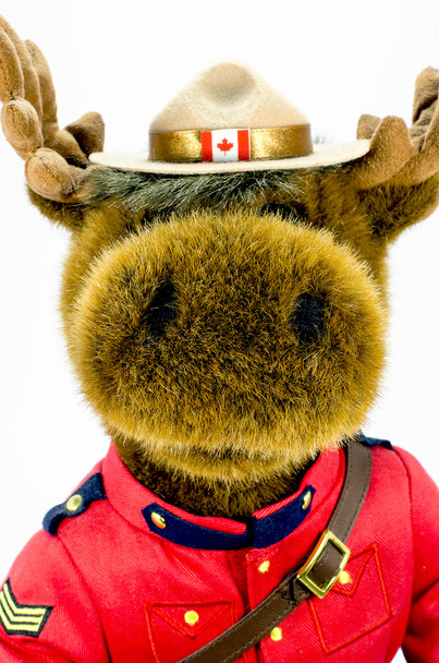 Královská kanadská jízdní policie Los plyšová hračka - Fotografie, Obrázek