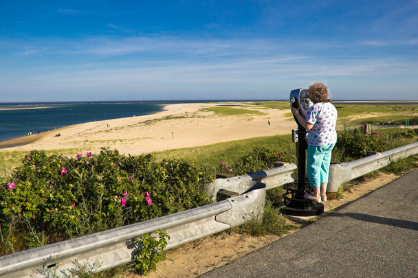 Mulher vendo a vista em uma praia de Cape Cod
 - Foto, Imagem