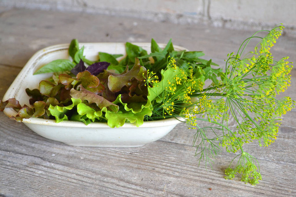 Healthy lifestyle. Healthy eating. Fresh salad. Variety fresh organic herbs (lettuce, basil, arugula, dill, mint, red lettuce) on wooden shabby table in rustic style - Photo, Image