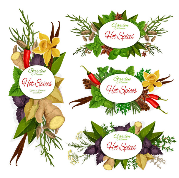 Spices, herbs, vegetable and plant seasonings - Vector, Image