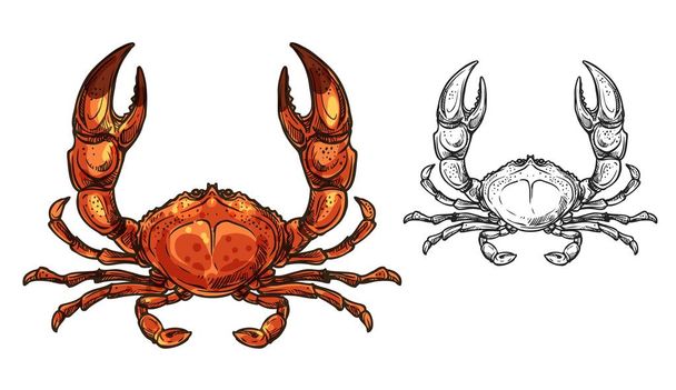 Крабовое животное или моллюски с поднятыми когтями
 - Вектор,изображение