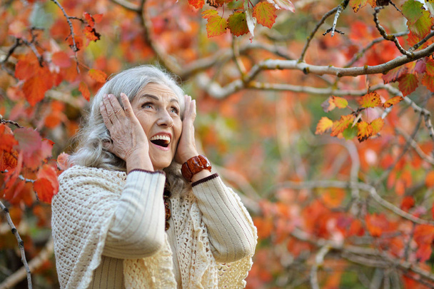 Happy senior woman in  autumn park - Fotografie, Obrázek