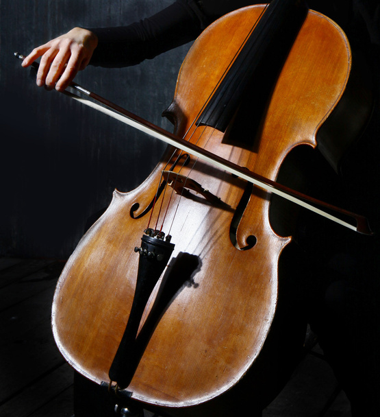 Cello musician - Фото, зображення