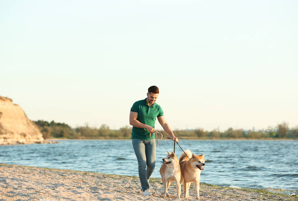 Young man walking his adorable Akita Inu dogs near river - Zdjęcie, obraz