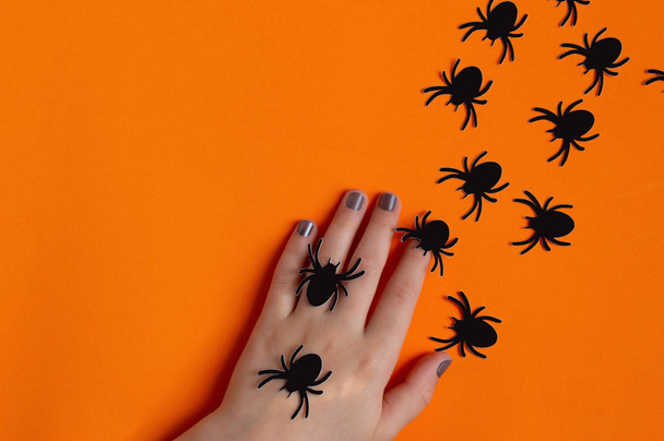 Kağıt örümcekler kadınların elinde sürünüyor. Cadılar Bayramı konsepti  - Fotoğraf, Görsel