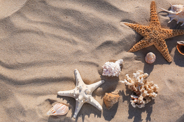 砂浜にヒトデや貝殻を持つ平らなレイコンポジション。テキスト用のスペース - 写真・画像