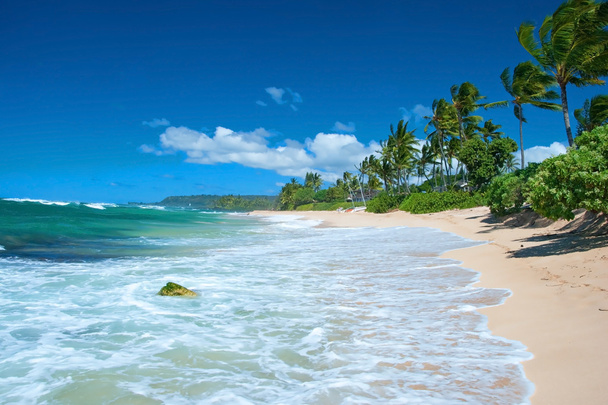 ανέγγιχτη αμμώδη παραλία με δέντρα φοίνικες και τα καταγάλανα ωκεανό στην έκφραση - Φωτογραφία, εικόνα