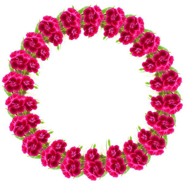 Circle frame of pink flowers - Zdjęcie, obraz