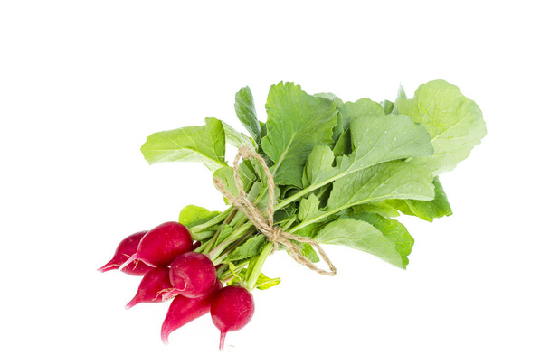 Φρέσκο κόκκινο ραπανάκι με πράσινα φύλλα απομονωμένα σε λευκό φόντο.  - Φωτογραφία, εικόνα