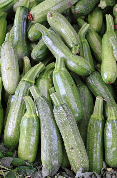 Zucchinis - Fotografie, Obrázek