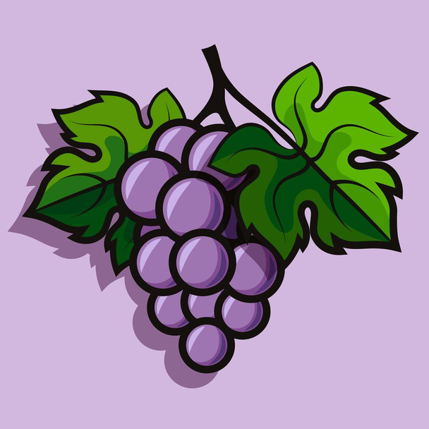 Ripe grape on branch with green leaf. flat illustration on violet - Vektor, obrázek