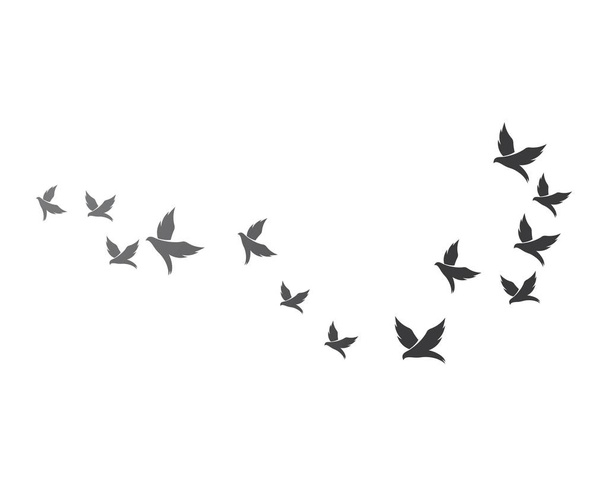 Вектор тла птаха Шаблон
 - Вектор, зображення