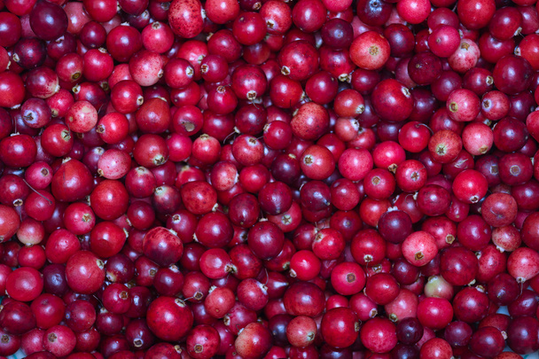 Cranberries - Фото, зображення