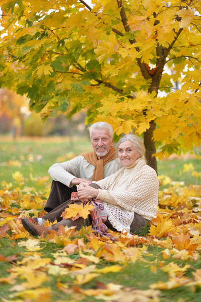 Happy senior woman and man  in park - 写真・画像