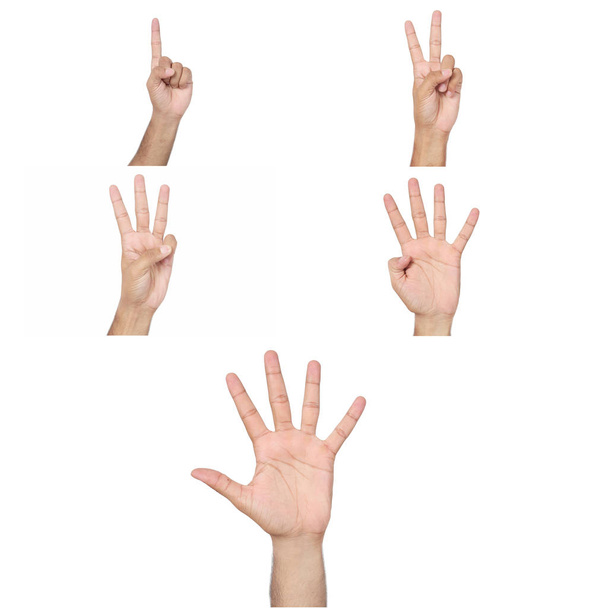 Hände zählen. isoliert auf weißem Hintergrund - Foto, Bild