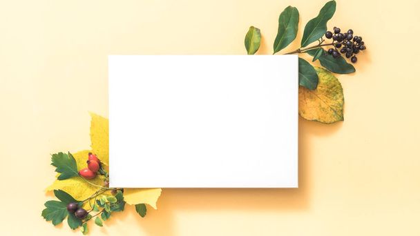 autumn greeting card white paper peach background - Foto, Bild