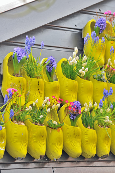 zapatos de madera amarillos tradicionales con flores de colores
 - Foto, imagen