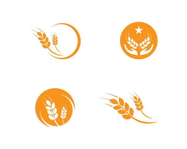 Пшениця шаблон логотип
 - Вектор, зображення