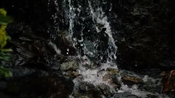 Veselý horský potok s vodopádem, který v Gruzii rychle běží v roce - Záběry, video