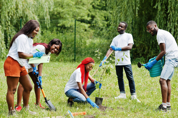 Ryhmä onnellisia afrikkalaisia vapaaehtoisia istuttamassa puuta puistoon. Afrikka
  - Valokuva, kuva