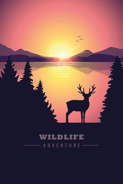 Wildlife Adventure Elch in der Wildnis am See bei Sonnenuntergang - Vektor, Bild