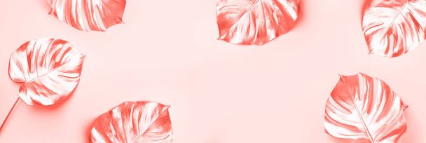 Exotic summer trend in minimal style. Golden tropical palm monstera leaf on trendy coral color background. Shiny and sparkle design, fashion concept. - 写真・画像