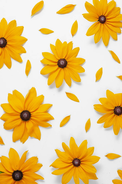 Flowers composition. Pattern made of yellow flowers on white bac - Foto, Imagem