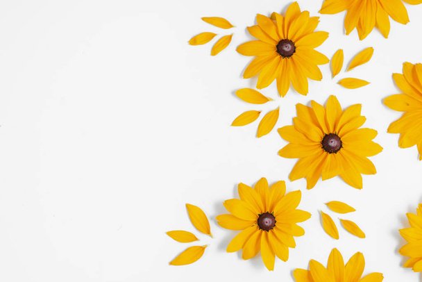 Yellow flowers represented on white background. Many flowers for - 写真・画像