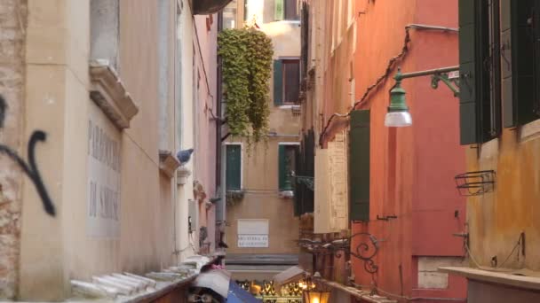 Architecture in Venice Italy. Narrow streets in Venice - Footage, Video
