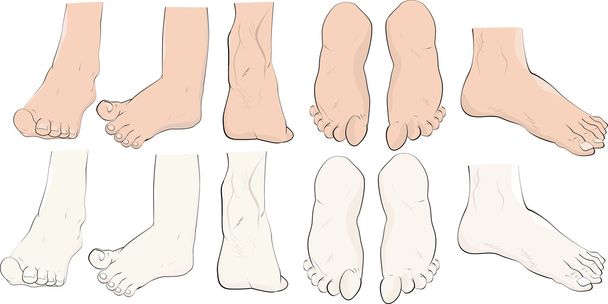 Feet the complete set - Vector, Image