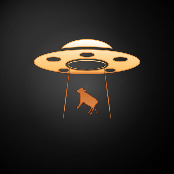 Gold-UFO entführt Kuh-Symbol isoliert auf schwarzem Hintergrund. Fliegende Untertasse vorhanden. Alien-Raumschiff. Futuristisches unbekanntes Flugobjekt. Vektorillustration - Vektor, Bild