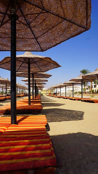 plages de sable fin avec parasol et chaises longues en Egypte
 - Photo, image