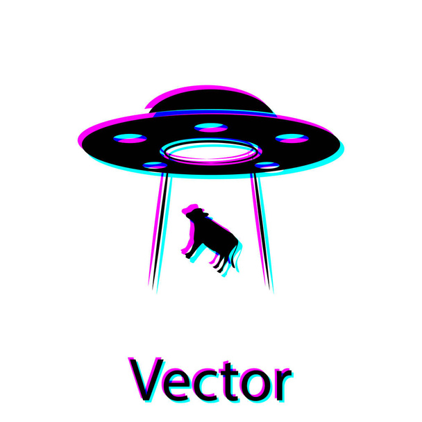 Black UFO abducts cow icon isolated on white background. Flying saucer. Alien space ship. Futuristic unknown flying object. Vector Illustration - Vector, Image